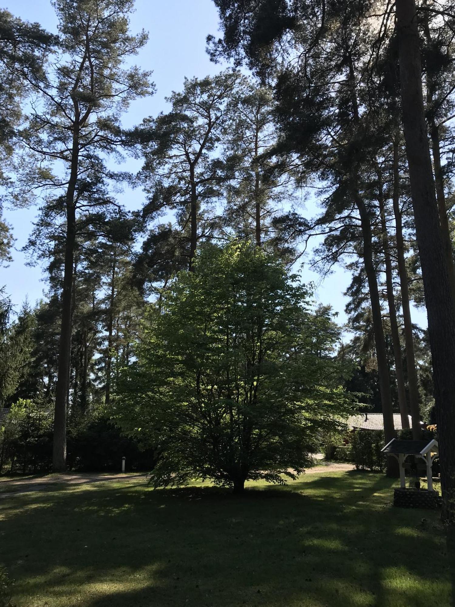Nordic Relax House - Woodhouse Villa Sjöbo Eksteriør bilde